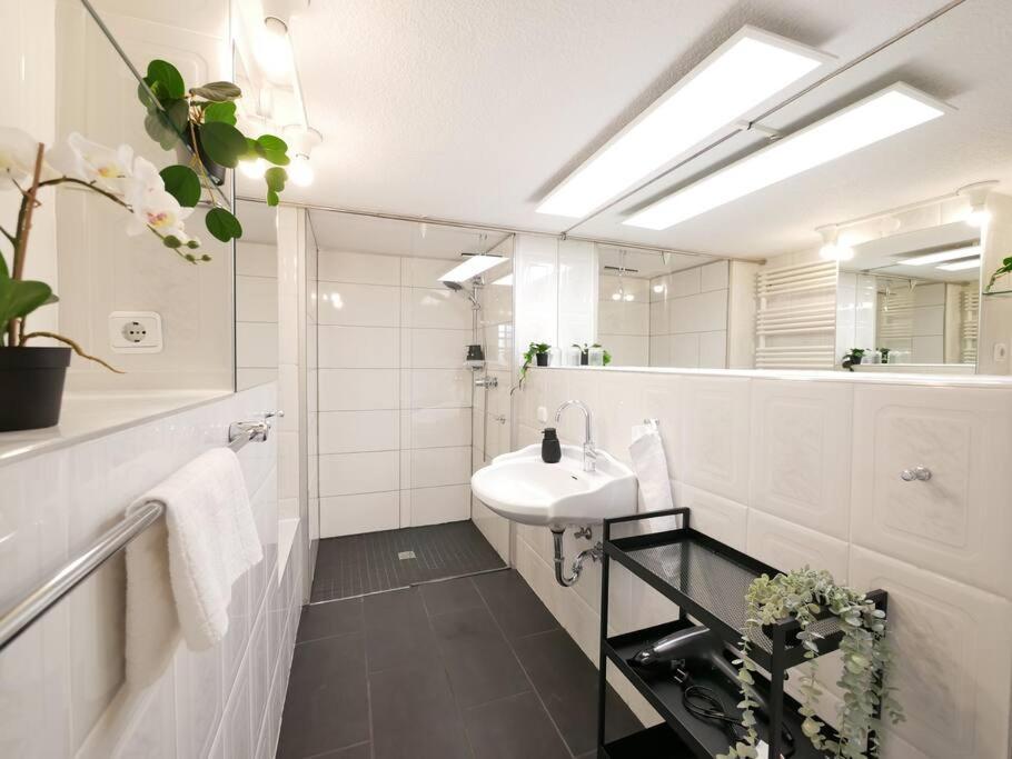 Apartment 110 M2, Dachterrasse, Kueche, Zentral, Ruhige Lage